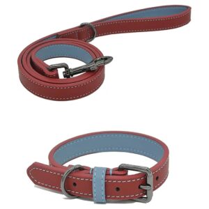 Soft and Durable Leather Dog Collar and Leash for Small Medium Large Dogs