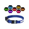 Soft and Durable Light Up Dog Collar with Automatic 7-Color Cycle