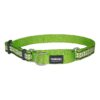 Soft and Durable Martingale Collar with Reflective Accents