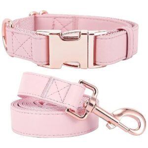 Soft and Easy to Clean Dog Collar and Leash Set with Vegan Leather and Rose Gold Buckle