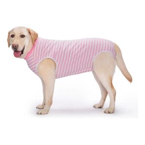 Soft and Elastic Recovery Suit for Dogs After Surgery and Wound Care