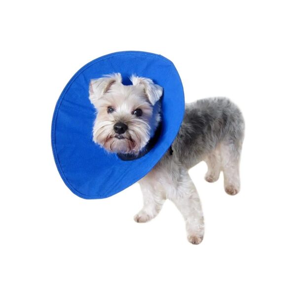 Soft and Flexible Recovery Collar for Comfortable Pet Wearing