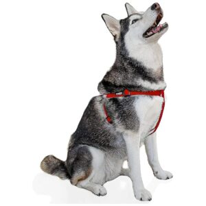 Soft and Hypoallergenic Hemp Dog Harness for Small Medium and Large Small Red Dogs