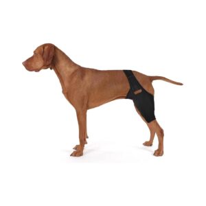 Soft and Lightweight Dog Knee Braces for Reducing Inflammation