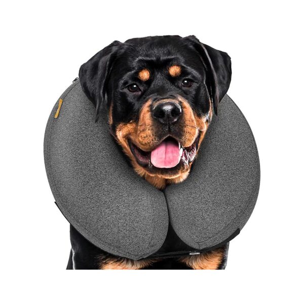 Soft and Protective Inflatable Dog Cone for Large Dogs After Surgery