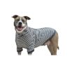 Soft and Snug Big Dog Full Belly Coverage Pullover Shirt in Stripe Pattern X-Large