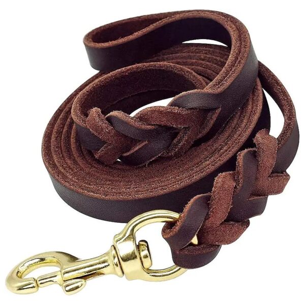 Soft and Strong Brown Leather Dog Leash for Walking and Training, 160cm