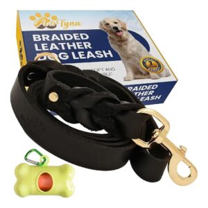 Soft and Strong Leather Dog Leash 6ft x 1 Black for Training