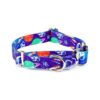 Soft and Strong Polyester Dog Collar for Pups with Intergalactic Cosmic Dreams