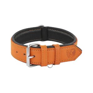 Soft and Sturdy Orange Leather Dog Collar for Large Dogs with Padded Strap