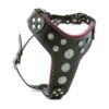 Soft and Stylish Leather Harness with Chest Plate Design for Large and Extra Large Breeds