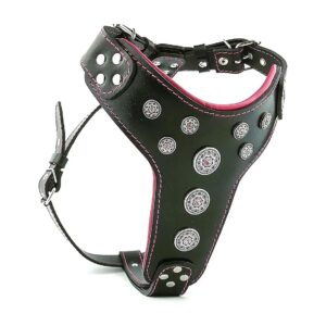 Soft and Stylish Leather Harness with Chest Plate Design for Large and Extra Large Breeds