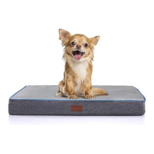 Soft and Supportive Small Dog Bed with Waterproof Cover for Dogs and Cats Up to 25lbs