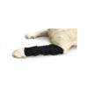 Soft and Warm Neoprene Dog Leg Hock Wrap Provides Compression Support for Injured Joints