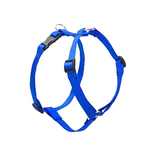 Solid Blue Roman Style Dog Harness for Adjustable Medium Size Dogs