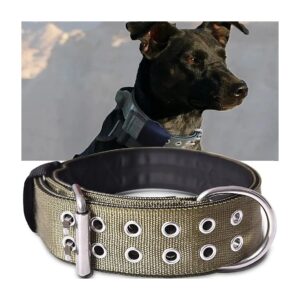 Solid Color Dog Collar with Handle for Large Breed Dogs