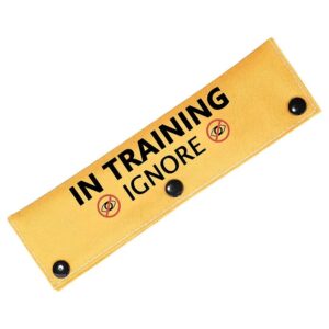 Solid Color Nylon In Training Ignore Dog Leash Sleeve for Working Dogs