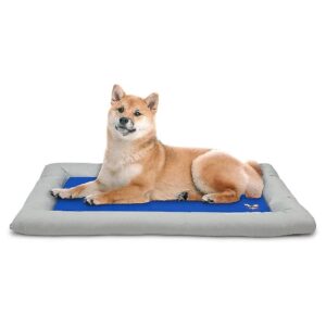 Solid Gel Self Cooling Bed for Large Dogs, Foam Bolster for Extra Comfort