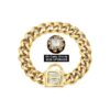 Solid Gold Dog Chain Collar with Cuban Link Pattern and Zirconia Buckle for Active Dogs