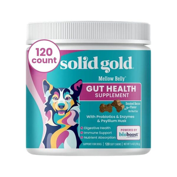 Solid Gold Probiotic Chews for Healthy Gut and Bowel Support