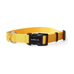 Solid Yellow Nylon Dog Collar with Quick Snap Buckle and Custom Fit Option