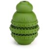 Solo Play and Treat Dispensing Green Rubber Dog Toy