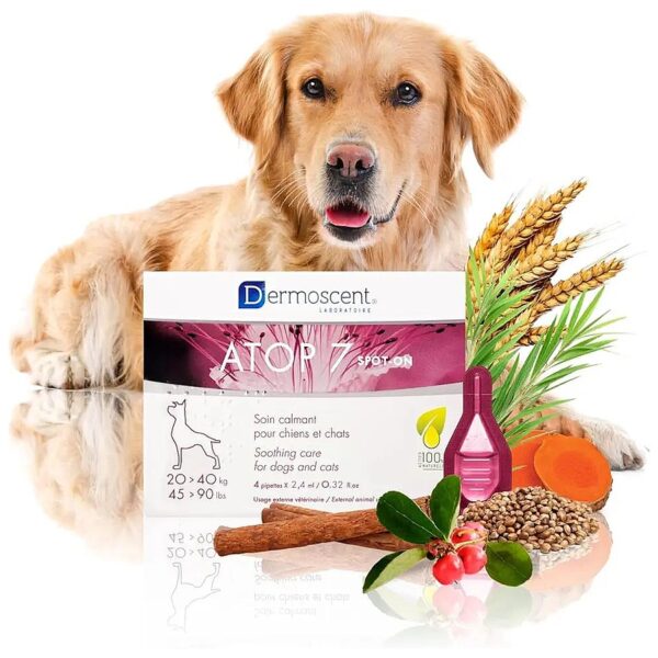 Soothing Skin Relief for Large Dogs with Sensitive Skin and Allergies