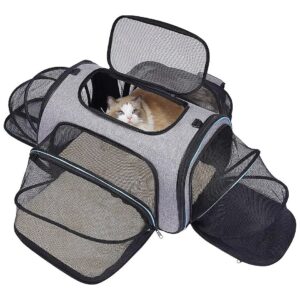 Spacious Airline Approved Cat Carrier for Small Dogs and Cats with Easy Expansion