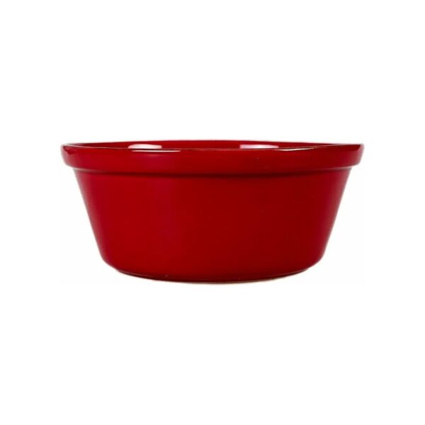 Spacious Red Dog Bowl with Easy Cleaning Durable Plastic for Large and Medium Breed Dogs