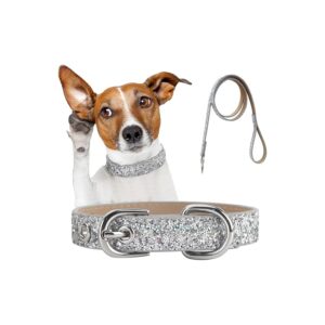 Sparkly Glitter Dog Collar for Small Medium Large Female Dogs with Adjustable Leash