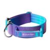 Special Edition 90s Retro Dog Collar with Soft Neoprene Interior for Large Strong Breeds