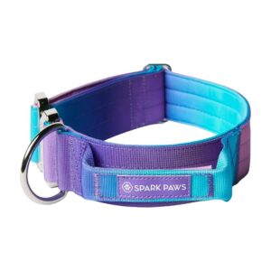 Special Edition 90s Retro Dog Collar with Soft Neoprene Interior for Large Strong Breeds