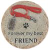 Special Pet Memorial Stepping Stone for Creating a Lasting Tribute