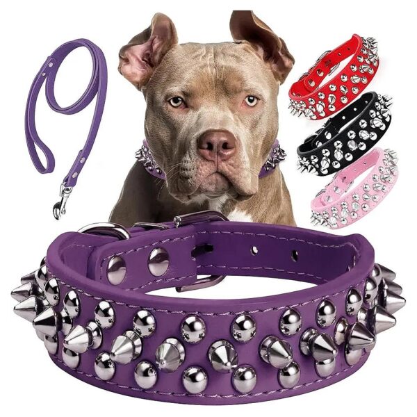 Spiked Studded Dog Collar with Adjustable Leash for Small Medium Large Pets