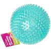 Spiky Textured Squeaker Ball for Dentally Healthy Canines