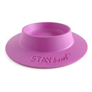 Spill-Proof 3/4 Cup Food Bowl for Multiple Small Pets Including Guinea Pigs