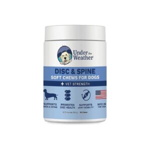 Spine and Disc Support Chews for Dogs with Back and Joint Arthritis