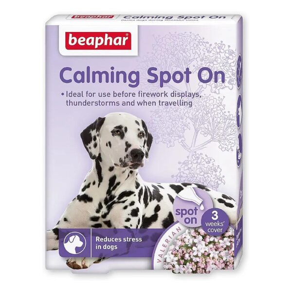 Spot-On Calming Solution for Dogs in High-Pressure Situations