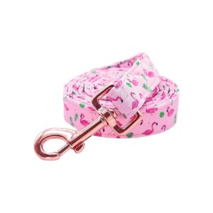 Spring Strong Dog Leashes for Walking Training Small Dogs with Soft Handle