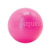 Squeaky Ball for Busy and Active Dogs