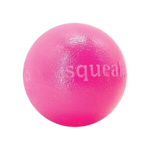 Squeaky Ball for Busy and Active Dogs