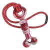 Squeaky Dog Bone with Rope - Interactive Tug of War Toy for Medium to Large Dogs