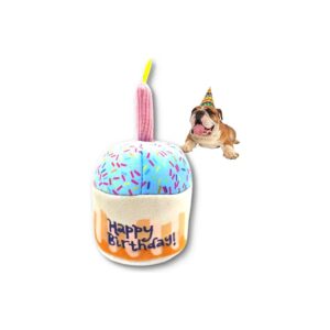 Squeaky Dog Cake Toy for Medium and Small Breed Dogs for Teething Relief