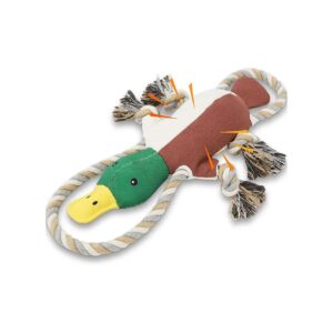 Squeaky Dog Toys for Aggressive Chewers with Crinkle Paper and Squeaker for All Breeds