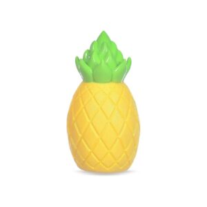 Squeaky Pineapple Floating Dog Toy for Pools and Lakes, Pet Safe Features