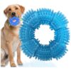 Squeaky Rubber Dog Teething Ring for Medium to Large Aggressive Chewers