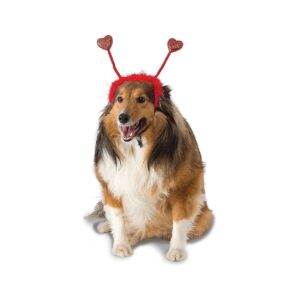 St Patrick's Day Bopper Dog Costume Red Heart Medium Large