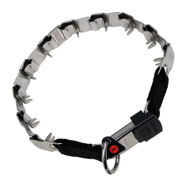 Stainless Steel Dog Collar with ClicLock Buckle and Nylon for Training and Everyday Wear