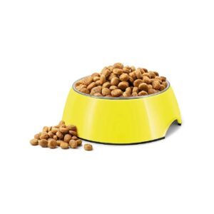 Stainless Steel Dog Food Bowls with Cute Designs for Small to Medium Breeds