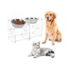 Stainless Steel Dog Food and Water Bowls for Healthy Digestion and Easy Cleaning